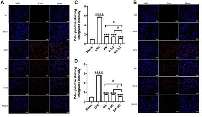 Natural product-based bioactive agents in combination attenuate neuroinflammation in a tri-culture model